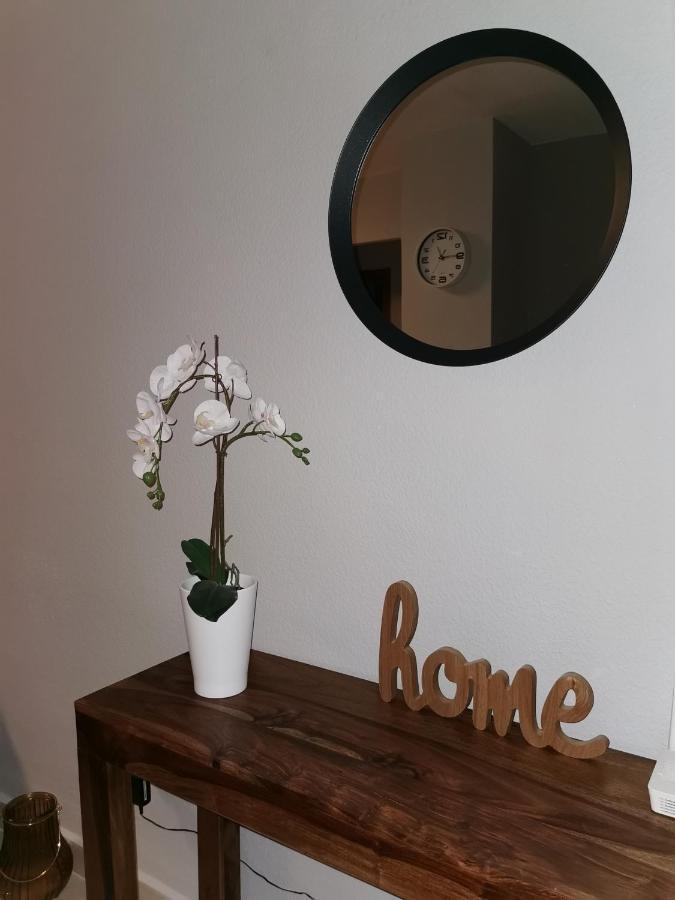 Naufragos Apartament 托雷维耶哈 外观 照片